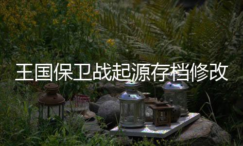 王国保卫战起源存档修改