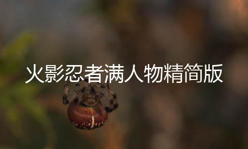火影忍者满人物精简版