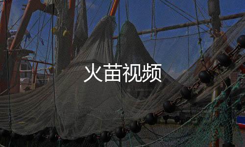 火苗视频