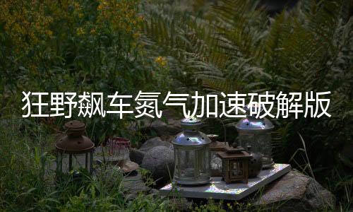狂野飙车氮气加速破解版