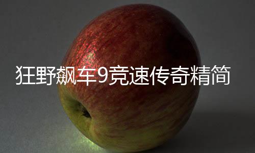 狂野飙车9竞速传奇精简版车辆全限免
