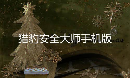 猎豹安全大师手机版