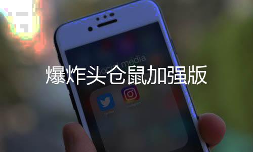 爆炸头仓鼠加强版