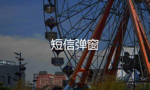 短信弹窗