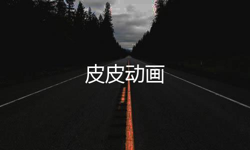 皮皮动画