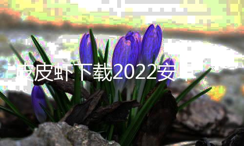 皮皮虾下载2022安卓最新版