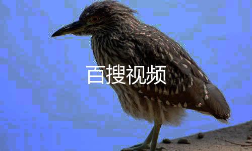 百搜视频