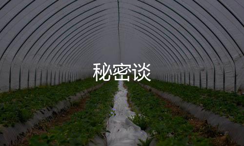 秘密谈