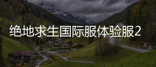 绝地求生国际服体验服2025最新版
