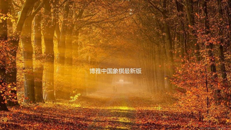 博雅中国象棋最新版
