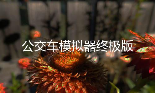 公交车模拟器终极版