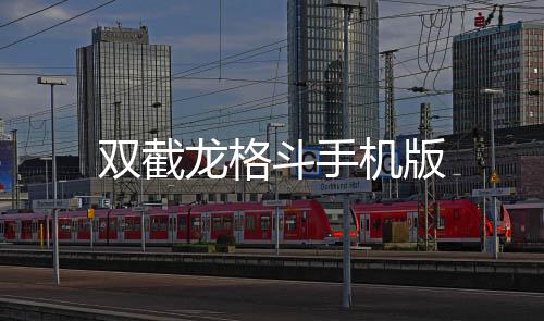 双截龙格斗手机版