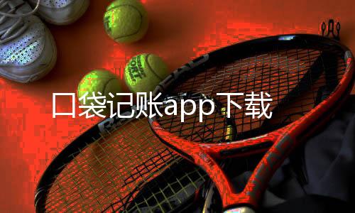 口袋记账app下载