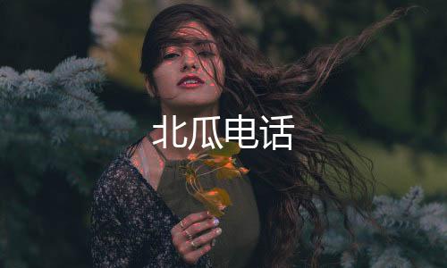 北瓜电话