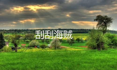 刮刮海贼