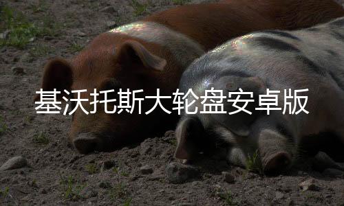 基沃托斯大轮盘安卓版