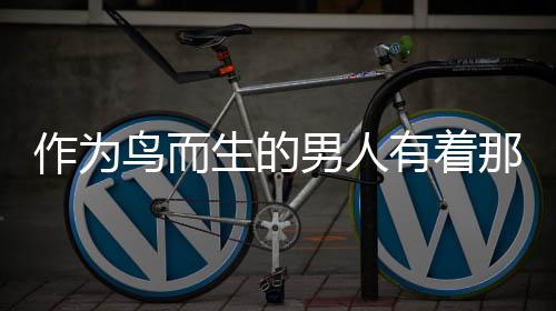 作为鸟而生的男人有着那样壮烈的人生