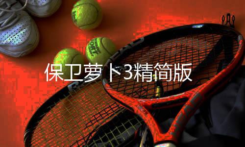 保卫萝卜3精简版