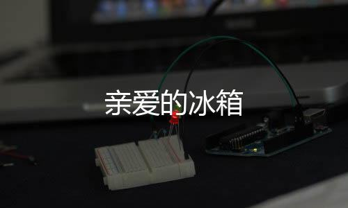 亲爱的冰箱