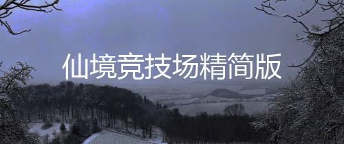 仙境竞技场精简版