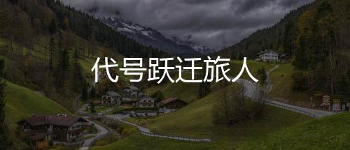 代号跃迁旅人