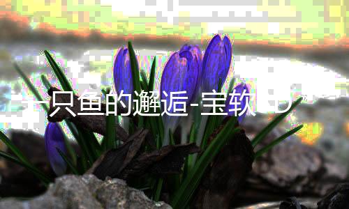 一只鱼的邂逅-宝软3D主题