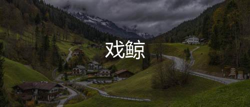 戏鲸