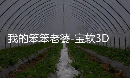 我的笨笨老婆-宝软3D主题