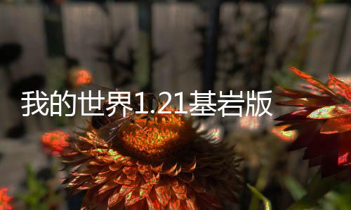 我的世界1.21基岩版