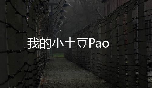 我的小土豆Pao