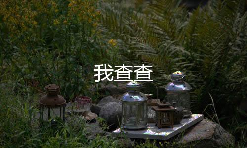 我查查