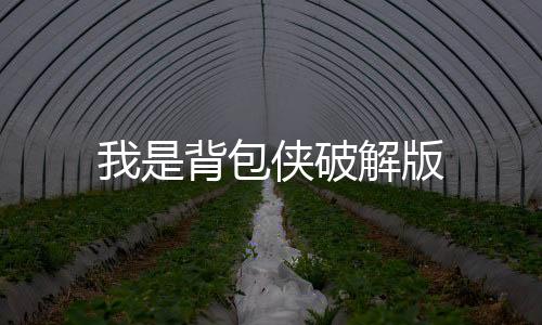我是背包侠破解版
