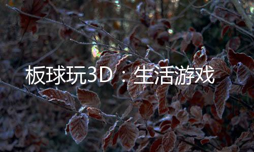 板球玩3D：生活游戏