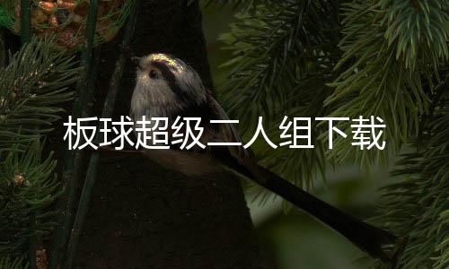 板球超级二人组下载