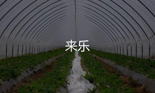 来乐