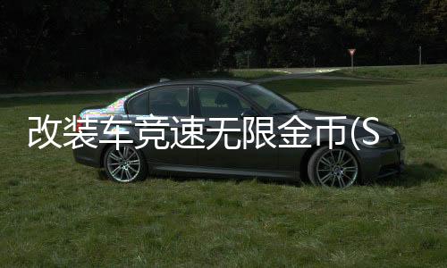 改装车竞速无限金币(Stock Cars)