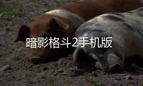 暗影格斗2手机版