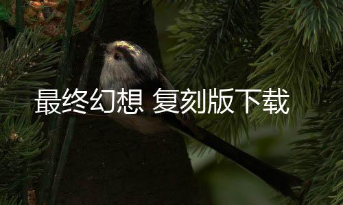 最终幻想 复刻版下载