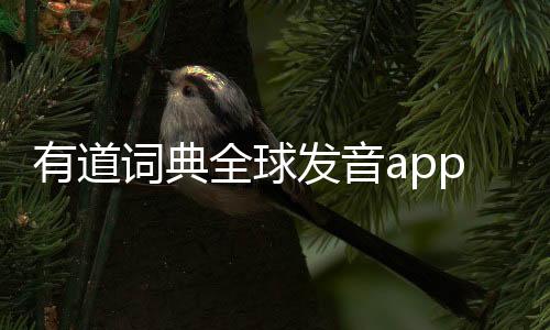 有道词典全球发音app下载 9.3.24