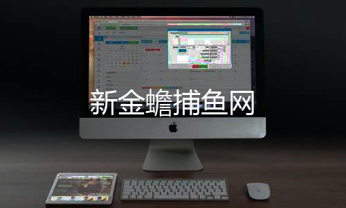 新金蟾捕鱼网