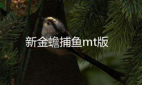 新金蟾捕鱼mt版