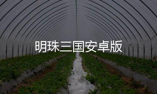 明珠三国安卓版
