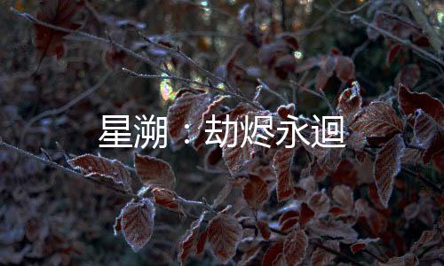星溯：劫烬永迴