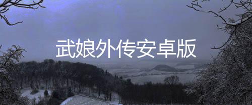 武娘外传安卓版