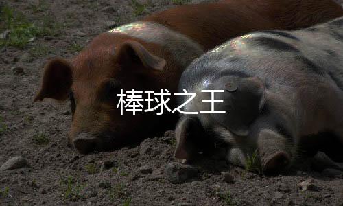 棒球之王