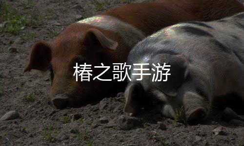 椿之歌手游