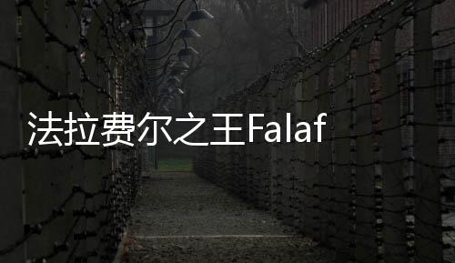 法拉费尔之王Falafel King安卓版中文版