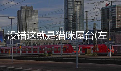没错这就是猫咪屋台(左様！こちらネコ屋台でござる)