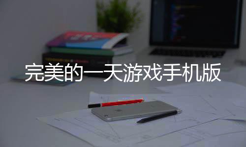 完美的一天游戏手机版