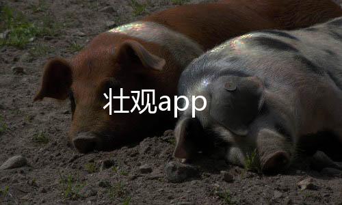 壮观app